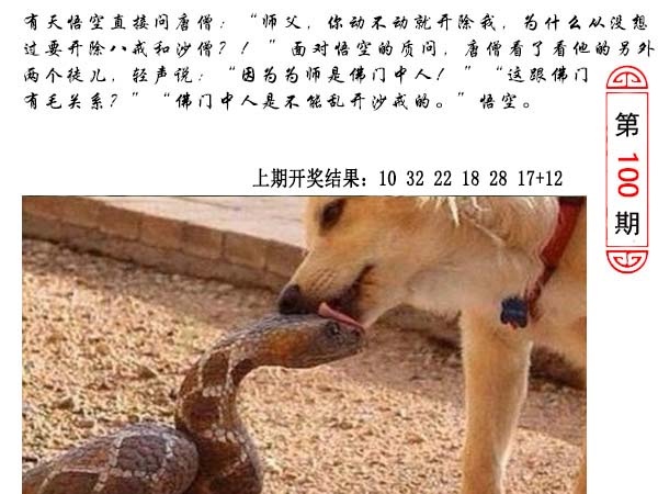 100期澳门生活幽默[图]